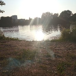 �������, �����, 50 ���