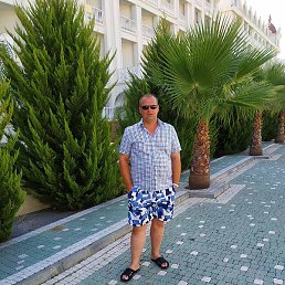 ���, �����, 38 ���