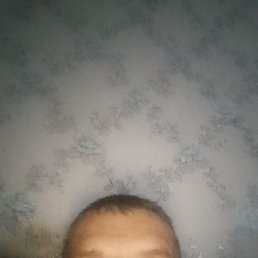 ������, ������, 38 ���