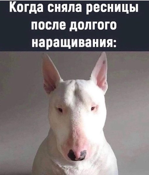 ***Victoria Viktorovna*** - 17  2023  13:46