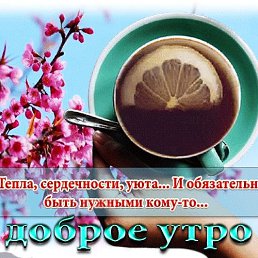 ���� �������, ������, 66 ��� - ��������� 29 ���� 2023