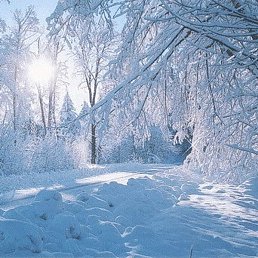 �������, ������, 56 ���