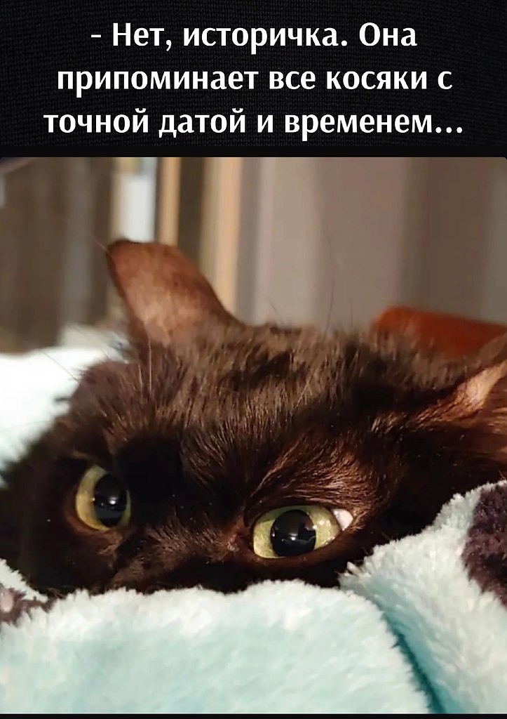       - 14  2023  13:16 - 3