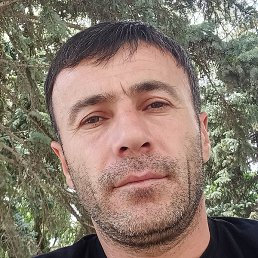 ������, ����, 41 ���