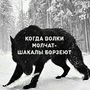 ���� Lyosho, ����, 35 ��� - ��������� 5 �������� 2023 � ������ ���� ����������