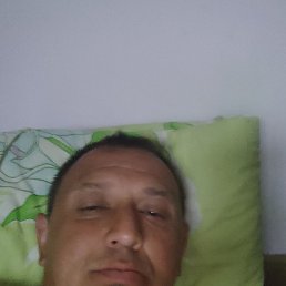 , 36, 