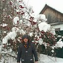 ���� �������, �����, 50 ��� - ��������� 17 ������ 2023 � ������ ���� ����������