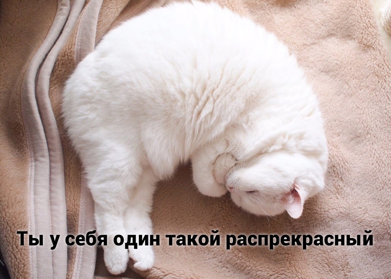  : - 3