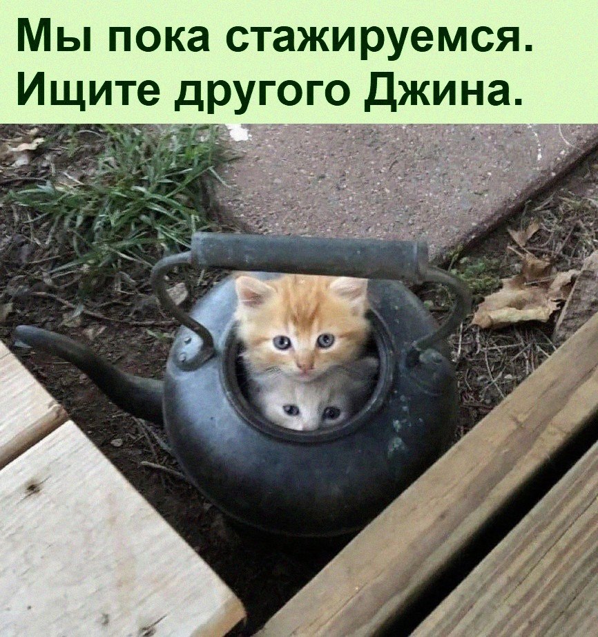   :D - 19  2023  11:41