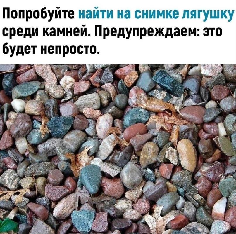 ~~~~~~~~~~