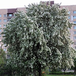 ���� �������, �����-���������, 60 ��� - ��������� 19 ������� 2023