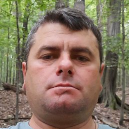 ������, ������, 43 ����