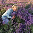 ���� ����, ���, 55 ��� - ��������� 6 ���� 2023 � ������ ���� ����������