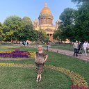 ���� ���, ������ - ��������� 20 ���� 2023 � ������ ���� ����������