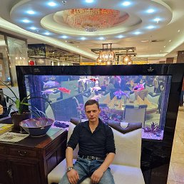 Michael, �����, 40 ���
