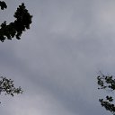 ���� �����, �����������, 26 ��� - ��������� 16 ��� 2023 � ������ ���� ����������