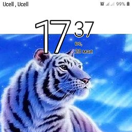 ����, �����, 48 ���