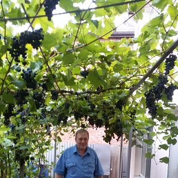 ���� �����, ���������, 64 ���� - ��������� 4 �������� 2023