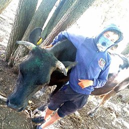 ����, ������, 20 ���