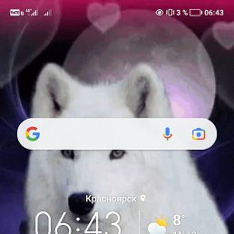 �����, ������, 40 ���