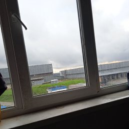 ���� ����, ������, 40 ��� - ��������� 30 ������� 2023