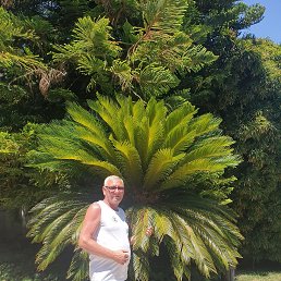 ���� ���������, ���������, 59 ��� - ��������� 6 �������� 2023