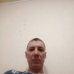 , 40, 