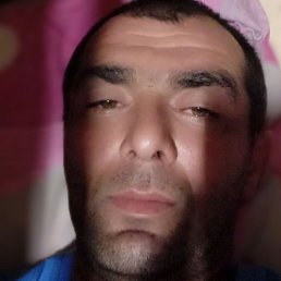 �����, ������, 41 ���