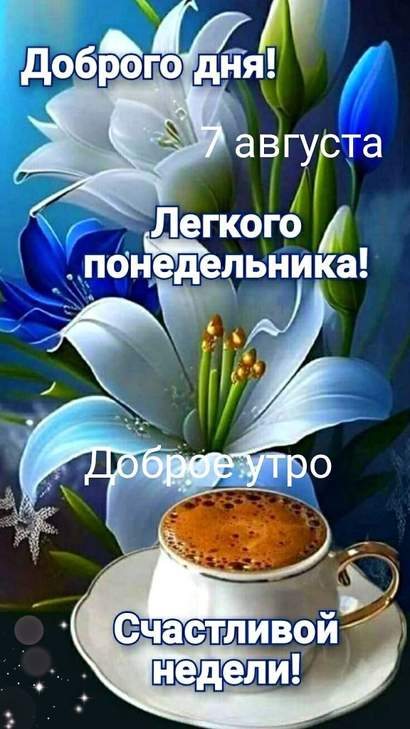 * * * * * * * * * * * * * * * * * * * *