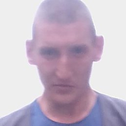 ���������, �������, 33 ����