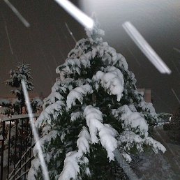 �����, ������, 55 ���