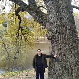 ����, ������, 59 ���