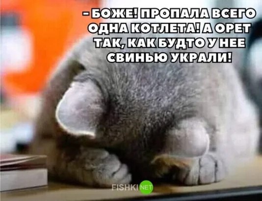  - 25  2023  02:54