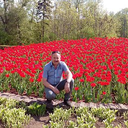 �����, �����������, 56 ���