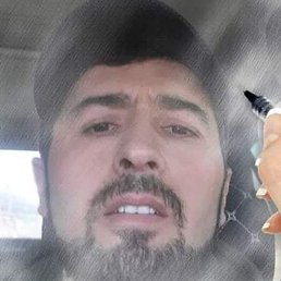 ����, ������, 41 ���