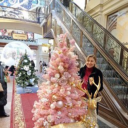 ���� �����, ������, 56 ��� - ��������� 3 ����� 2023