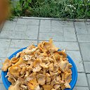 ���� ������, ������, 69 ��� - ��������� 31 ���� 2023