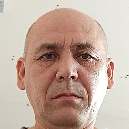 �����, �����������, 54 ����