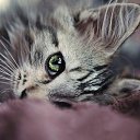 ���� �, ��������� - ��������� 6 ��� 2023 � ������ ���� ����������