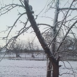 ����, �����, 37 ���