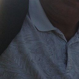 �����, �����-���������, 44 ����