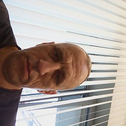 �����, ����������, 46 ���