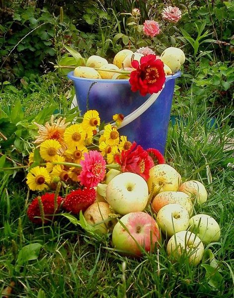 Август — это бантик на макушке лета. Август ещё полон и тепла, и света. Он нас не торопит с летом ...