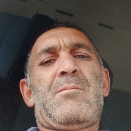 �����, �������, 46 ���