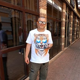 ���� �����, ���������, 47 ��� - ��������� 16 ���� 2023