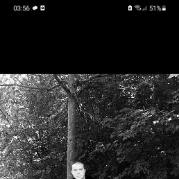 ����, ������, 39 ���