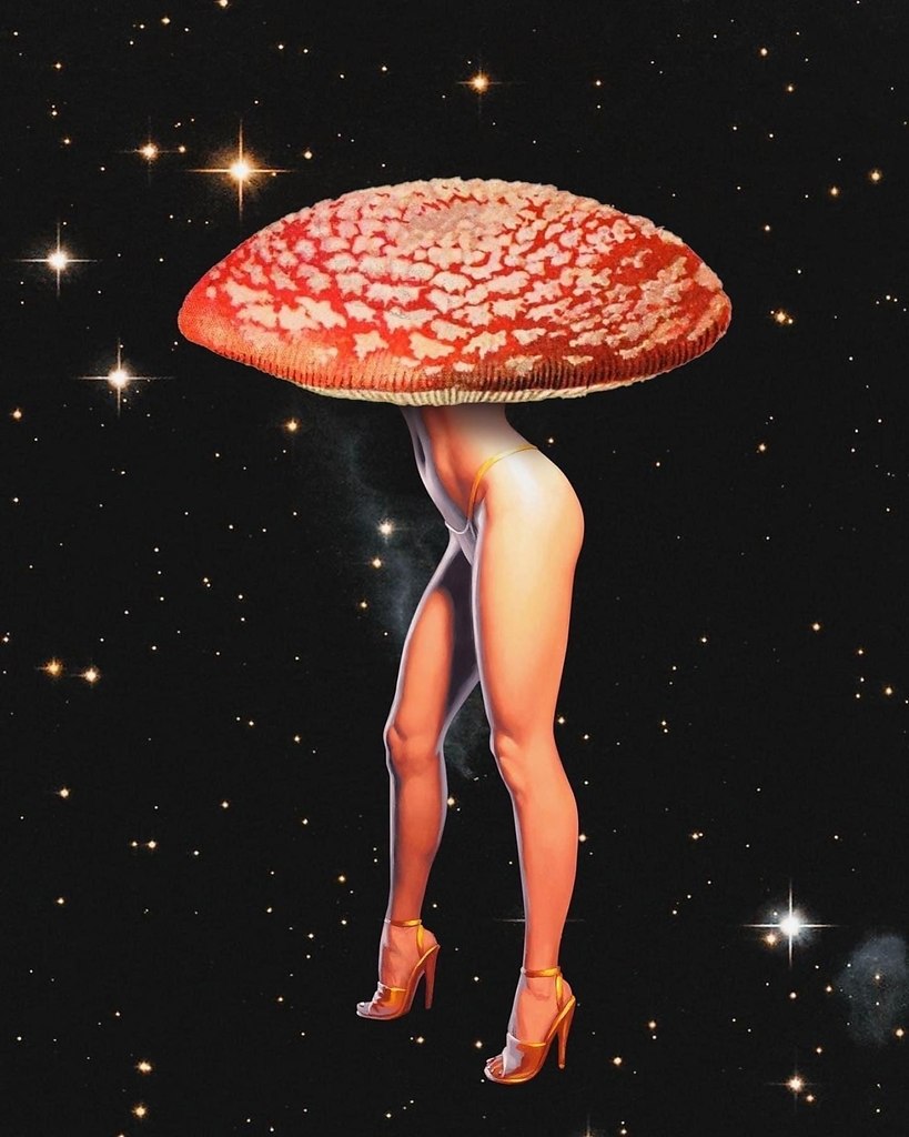  - 5  2023  20:26