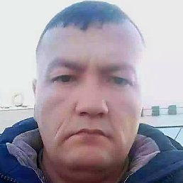 ������, �����-���������, 44 ����