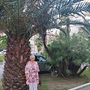 ����. 2023 �. ����. �� ������� ���� ����������