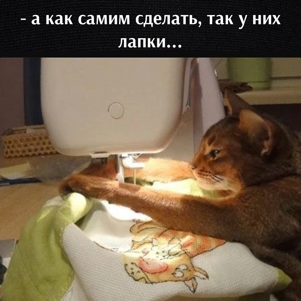       - 13  2023  12:34 - 4